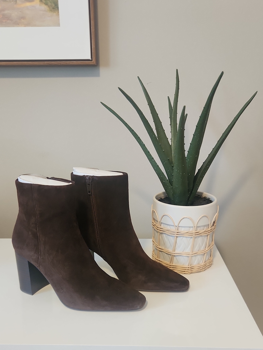 Steve Madden Aiden Dark Brown Suede Ankle Boots